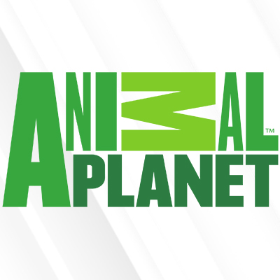 Animal Planet